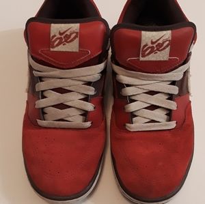 2009 Nike Dunk 6.0 MENS SIZE 8